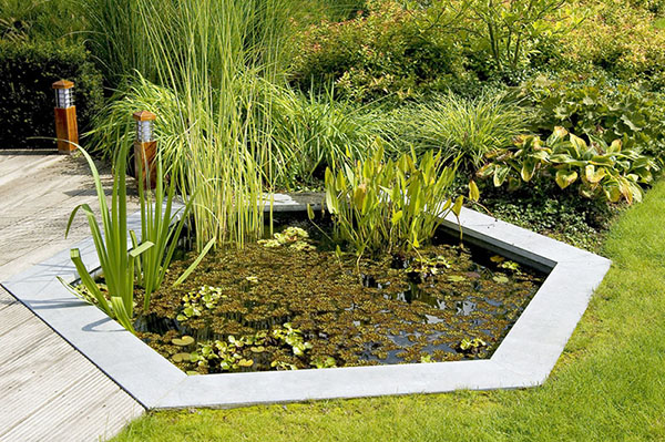 Garden Water Features